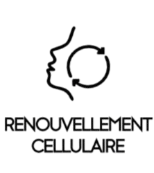 Renouvellement cellulaire